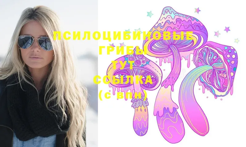 Псилоцибиновые грибы Magic Shrooms  Белогорск 